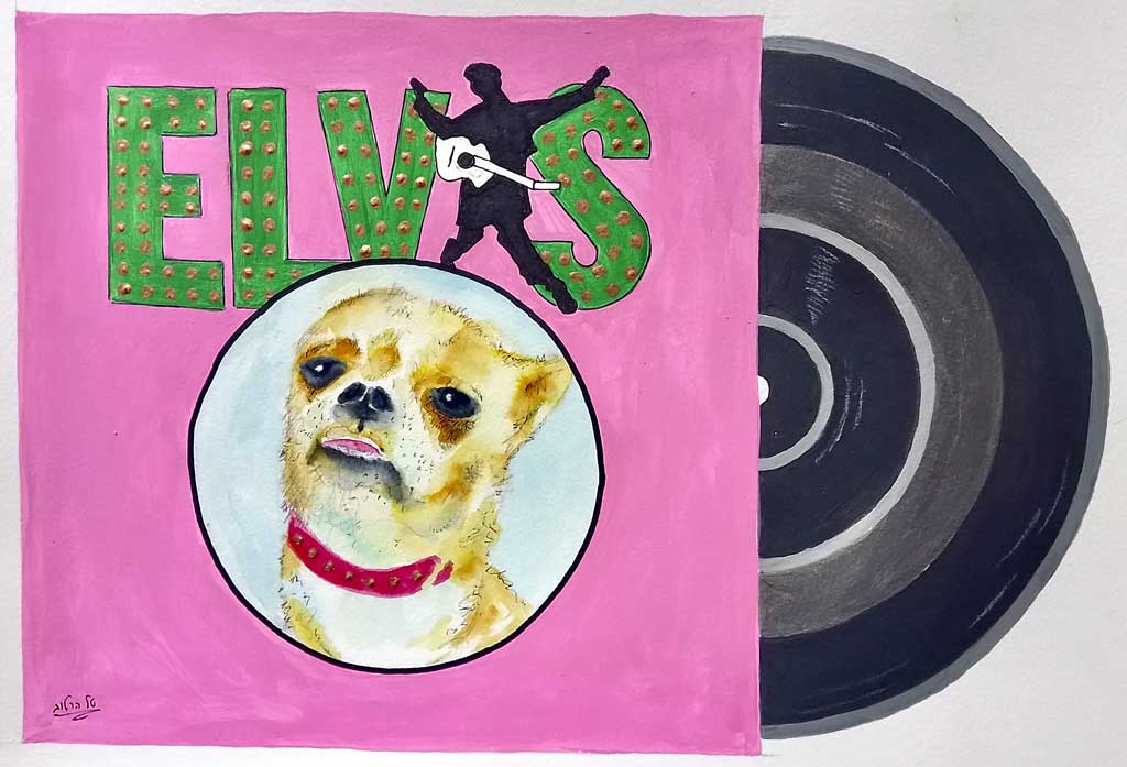 A Zion dog named Elvis.
